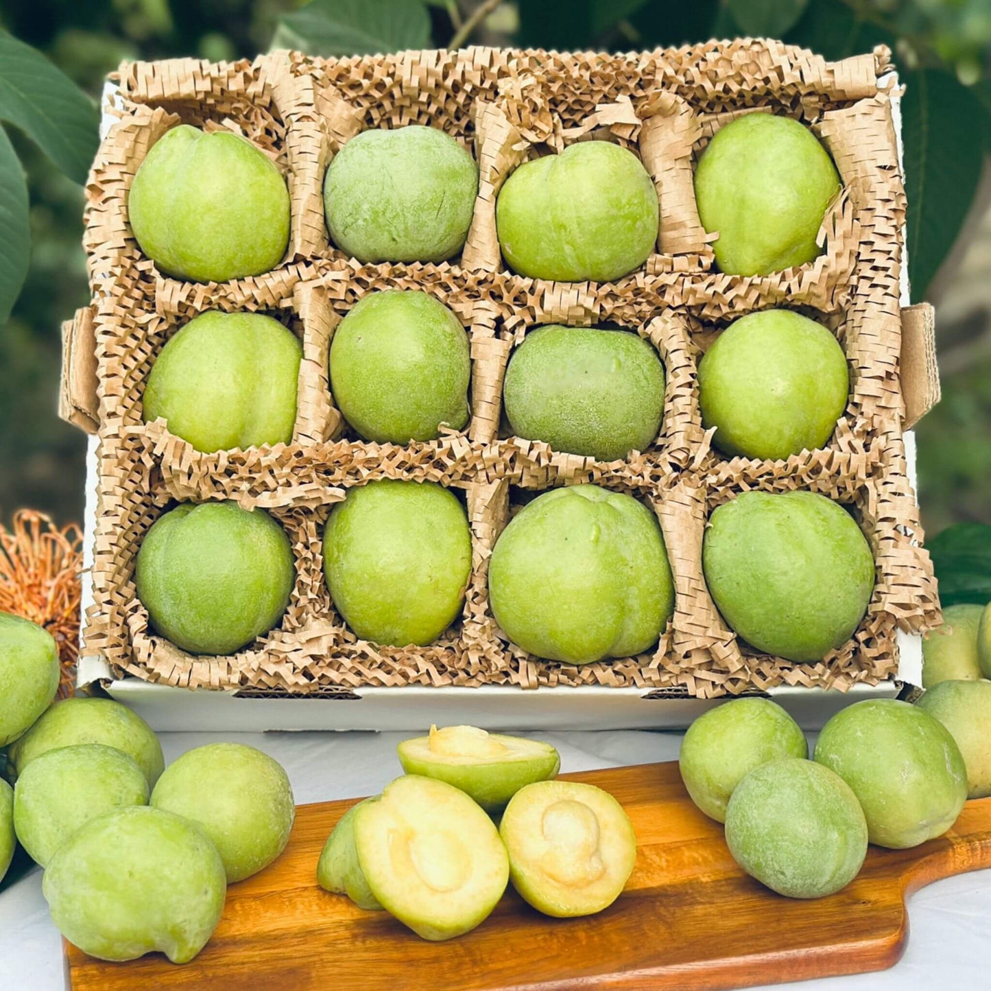 White Sapote Box