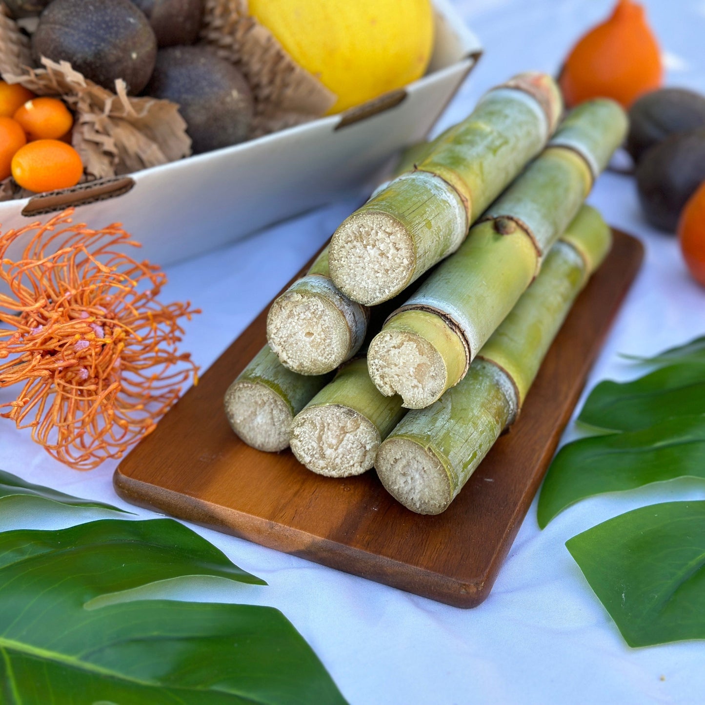Sugar Cane