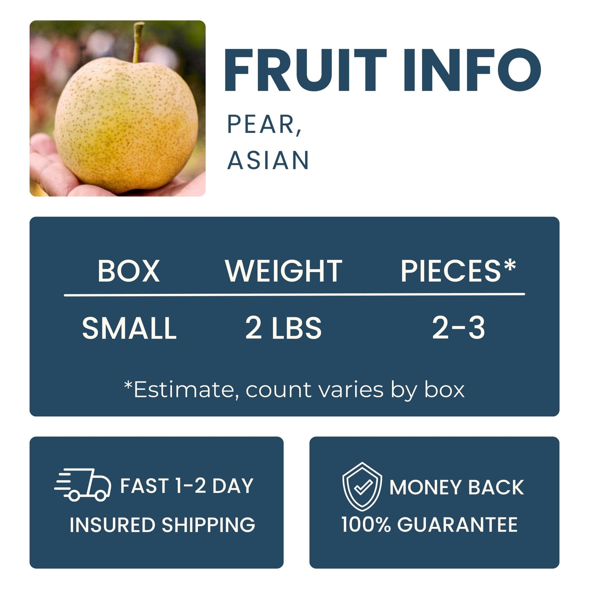 Asian Pear Good Hill Farms Fruit: Asian Pear
