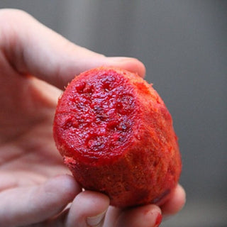 Cactus Pear Good Hill Farms Fruit: Cactus Pear