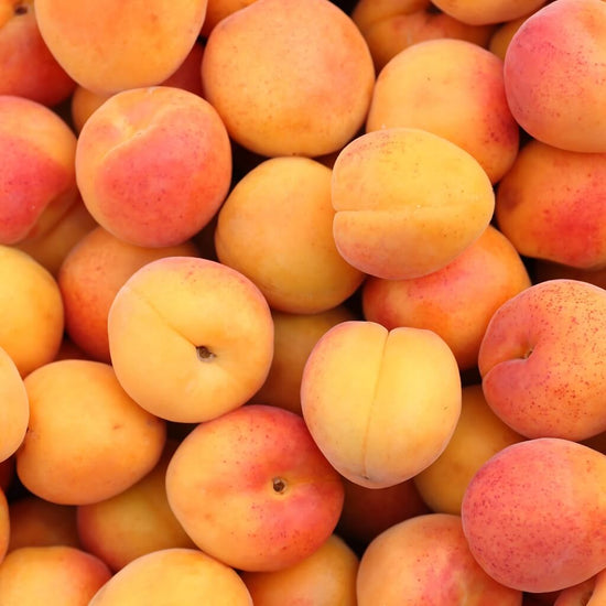 California Apricot Good Hill Farms Fruit: Apricot