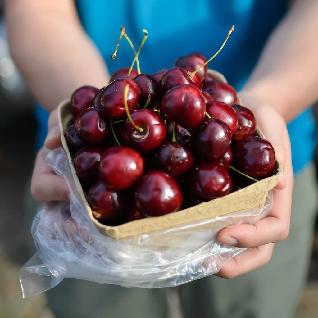 California Cherry Good Hill Farms Fruit: Cherry