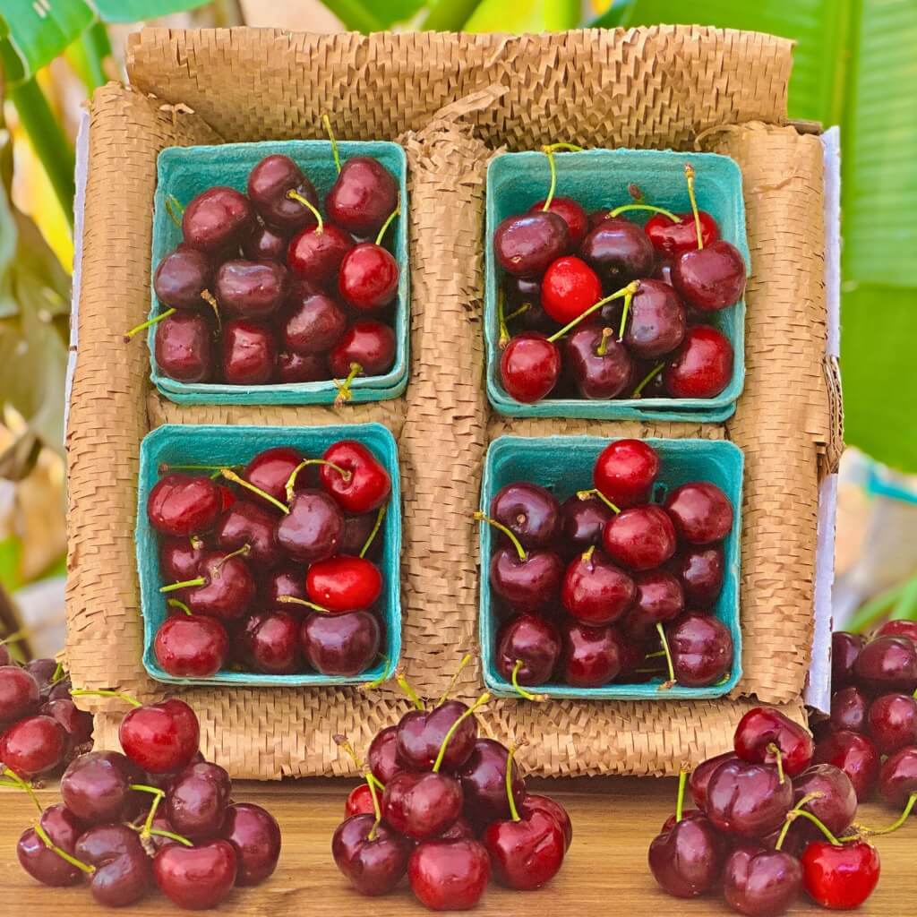 California Cherry Good Hill Farms Fruit: Cherry