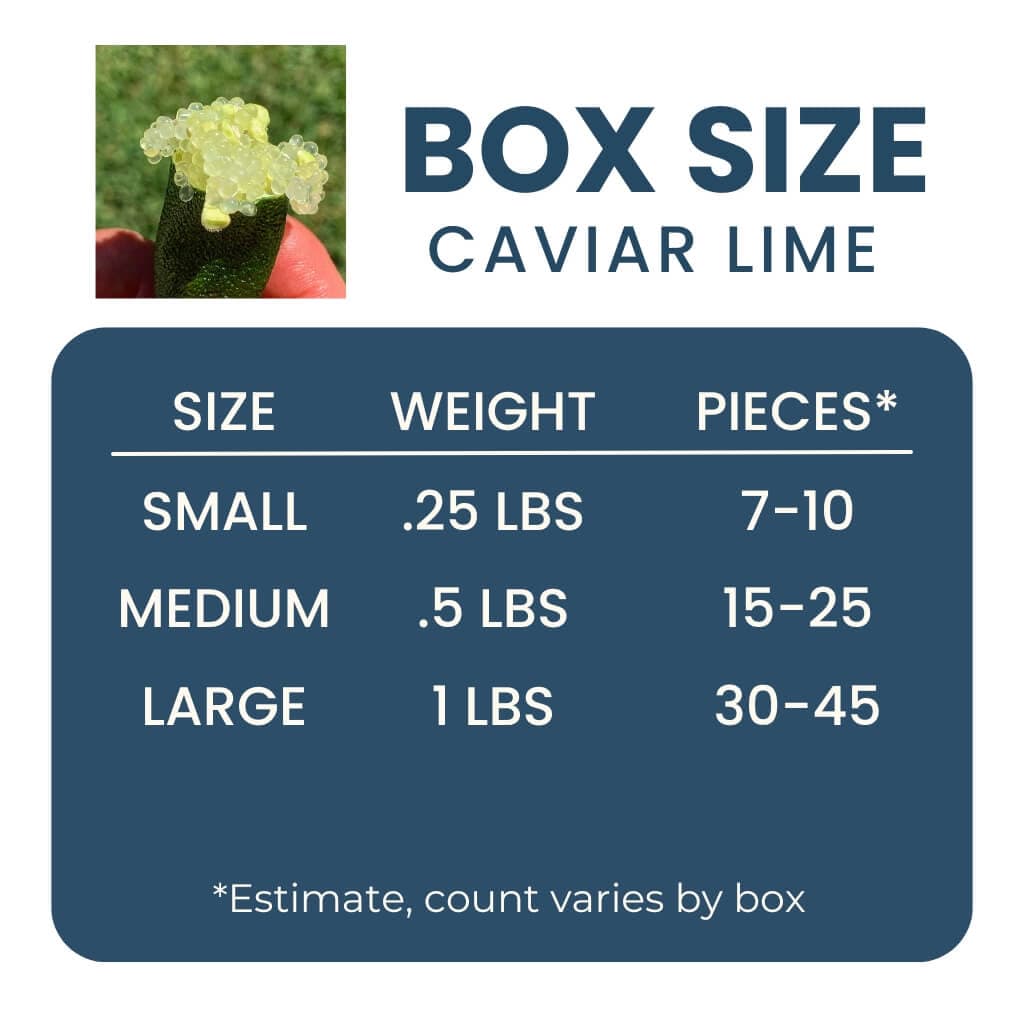 Caviar Lime (Australian Finger Lime) Good Hill Farms Fruit: Lime, Caviar