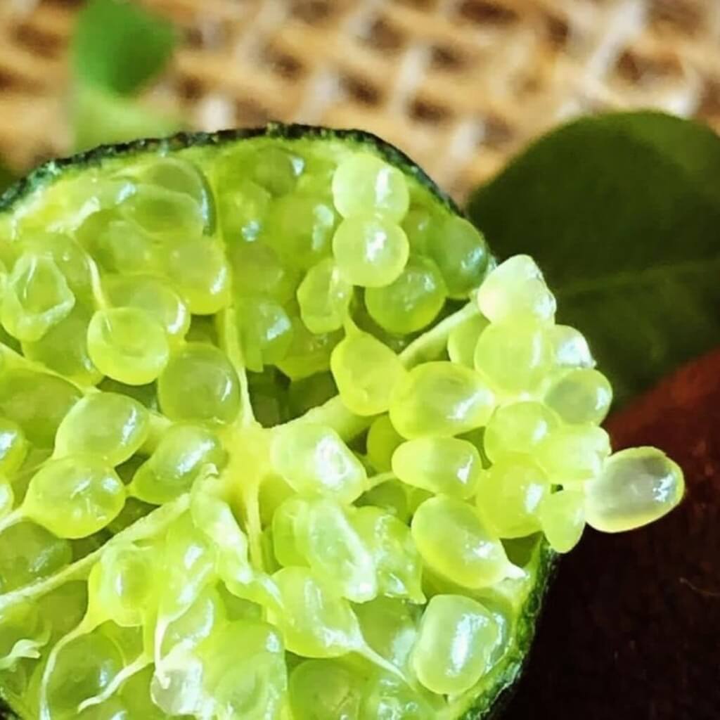 Caviar Lime (Australian Finger Lime) Good Hill Farms Fruit: Lime, Caviar