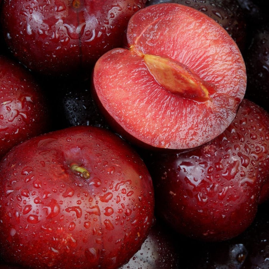 Cherry Plum Good Hill Farms Fruit: Cherry Plum