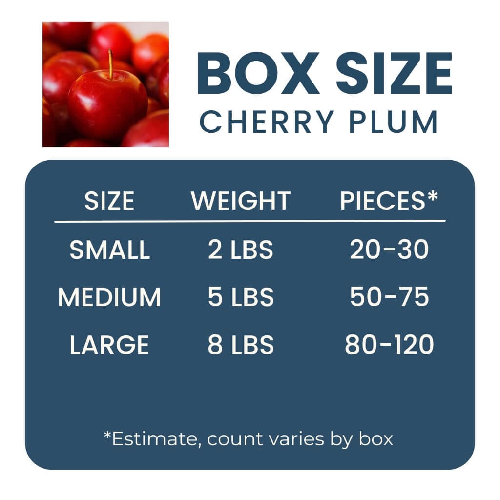 Cherry Plum Good Hill Farms Fruit: Cherry Plum