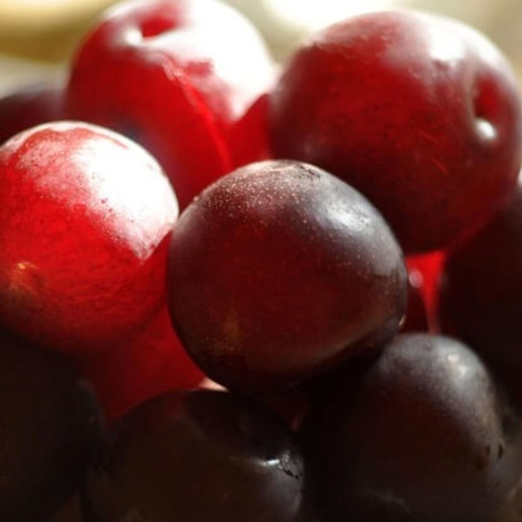 Cherry Plum Good Hill Farms Fruit: Cherry Plum