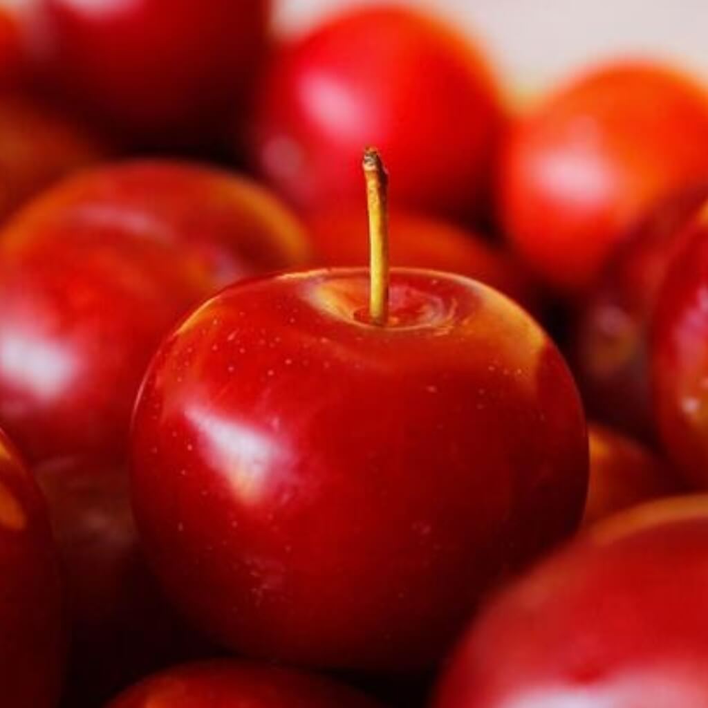 Cherry Plum Good Hill Farms Fruit: Cherry Plum