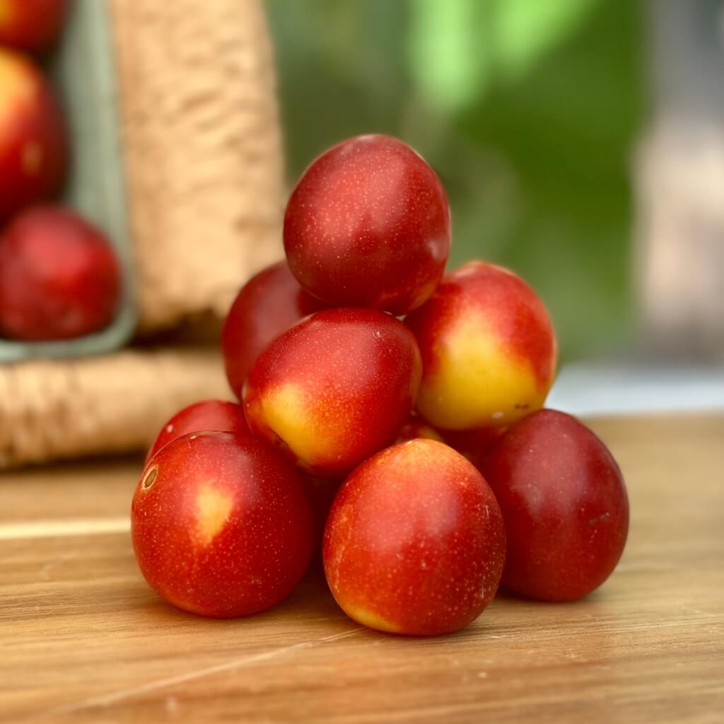 Cherry Plum Good Hill Farms Fruit: Cherry, Plum