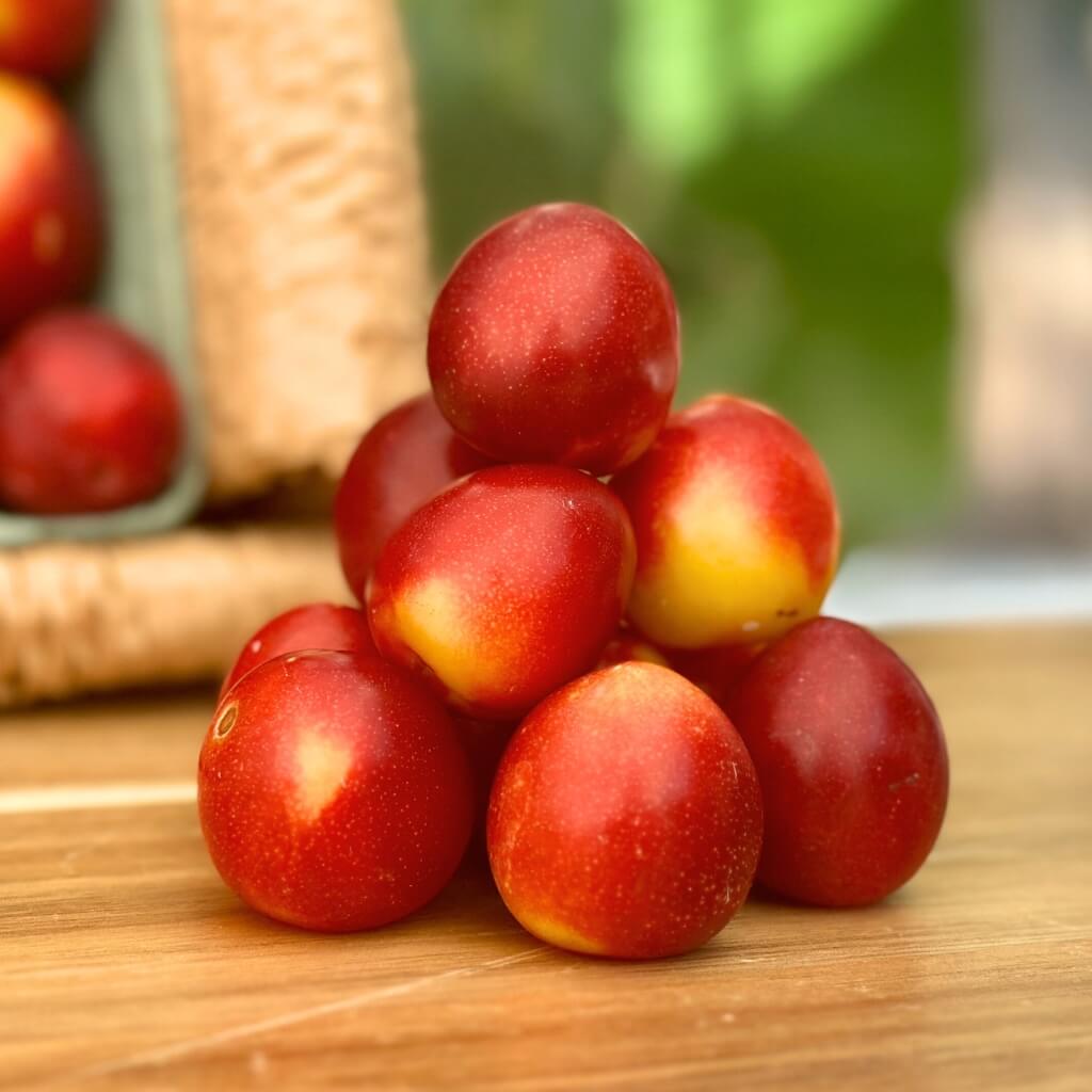 Cherry Plum Good Hill Farms Fruit: Cherry, Plum