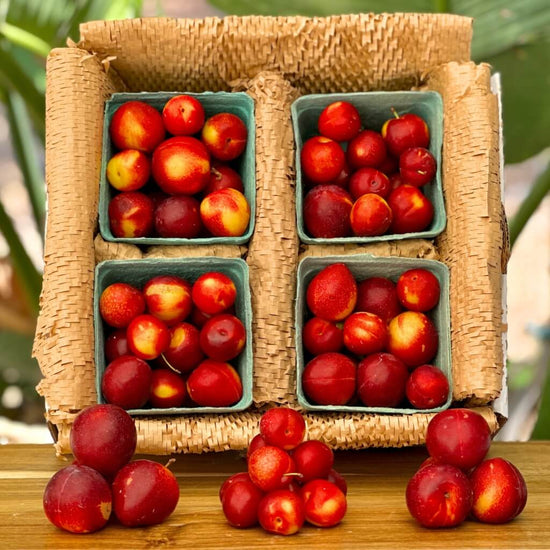 Cherry Plum Good Hill Farms Fruit: Cherry, Plum