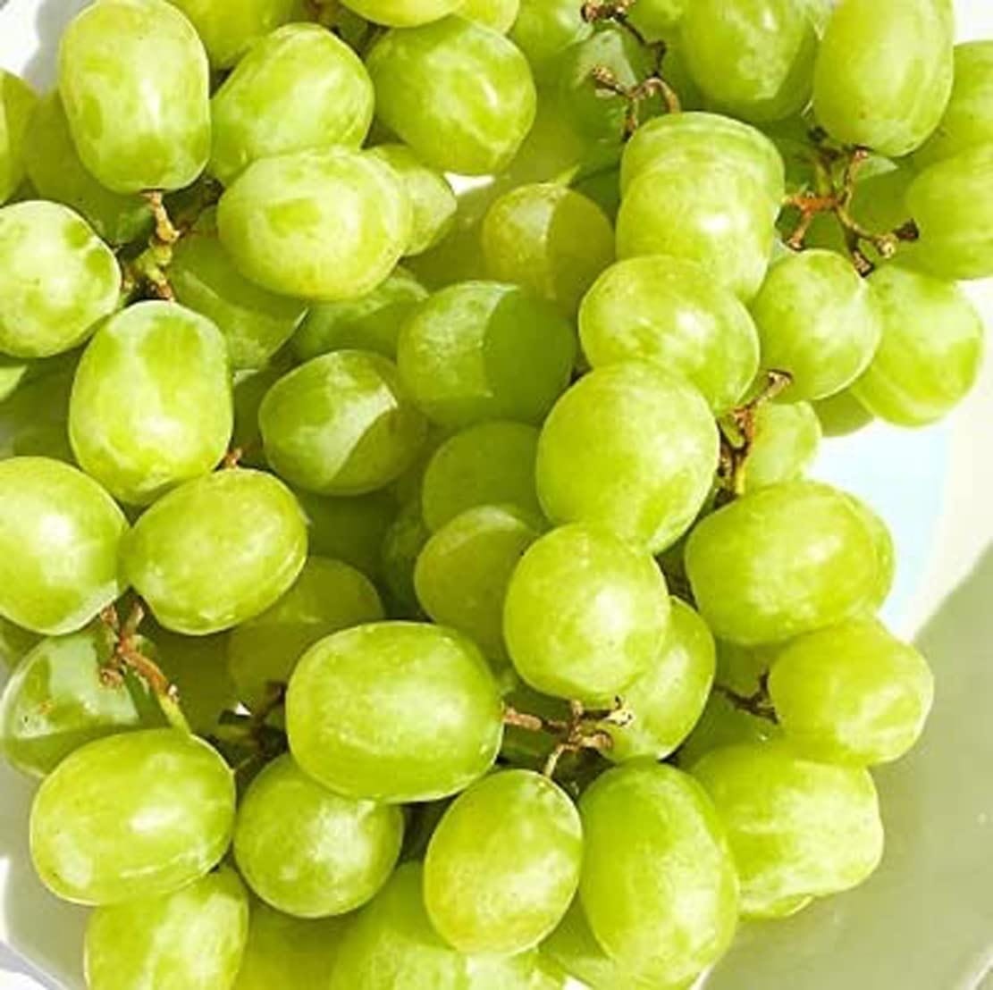 Cotton Candy Grapes Good Hill Farms Fruit: Grape, Cotton Candy