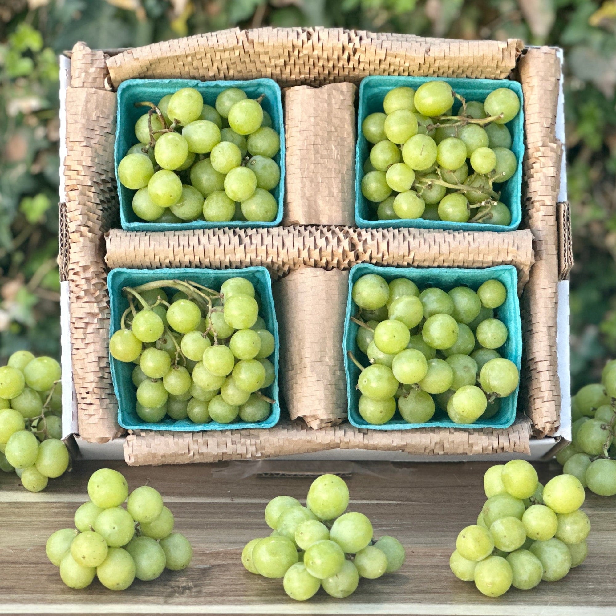 Cotton Candy Grapes Good Hill Farms Fruit: Grape, Cotton Candy