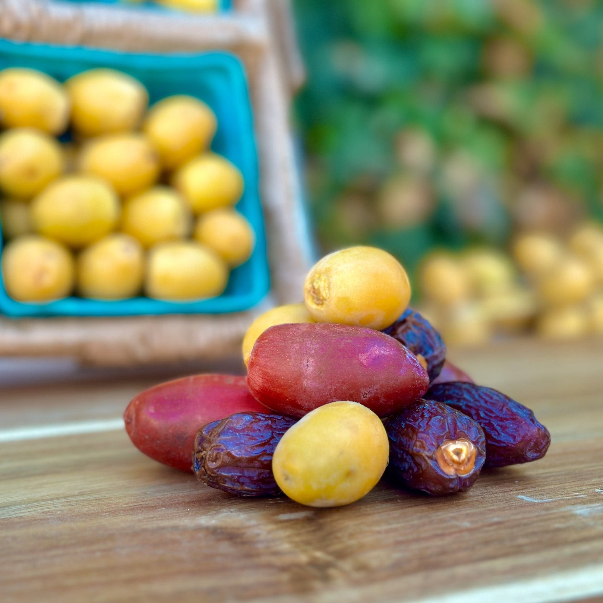 Date Variety Box Good Hill Farms Mix Box: Date, Variety