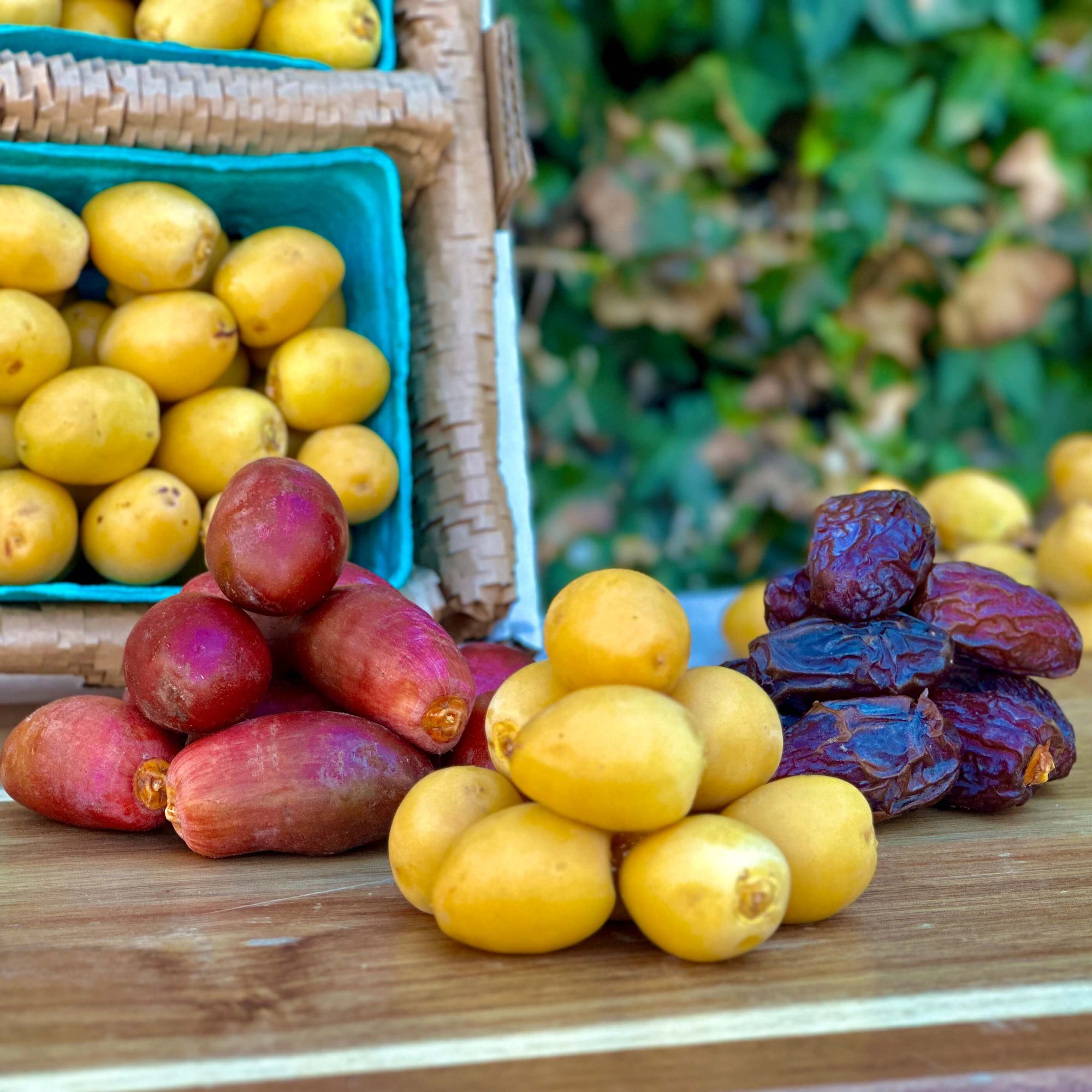 Date Variety Box Good Hill Farms Mix Box: Date, Variety