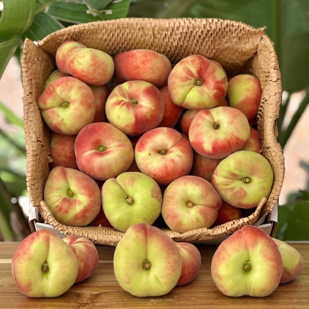 Donut Peach Good Hill Farms Fruit: Peaches, Donut