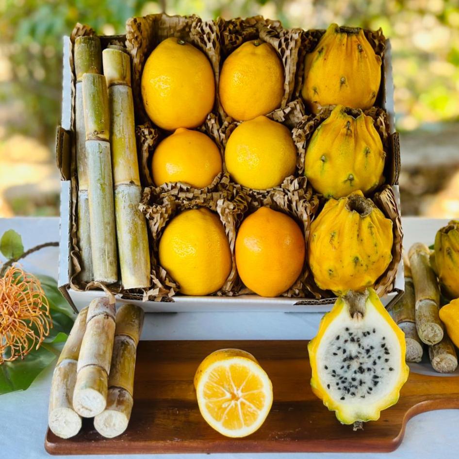 Dragon Fruit Lemonade Kit Good Hill Farms Mix Box: Lemonade, Yellow Dragon Fruit
