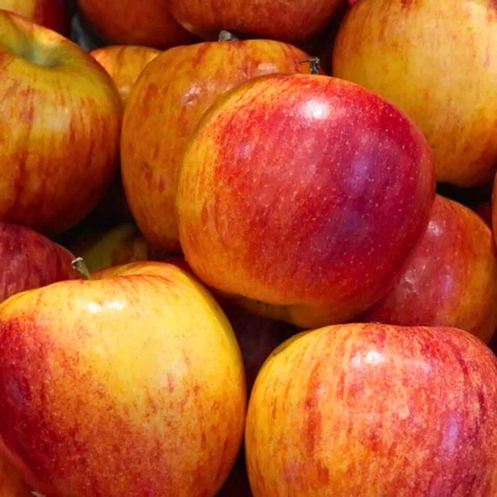 Envy Apple Good Hill Farms Fruit: Apple, Envy