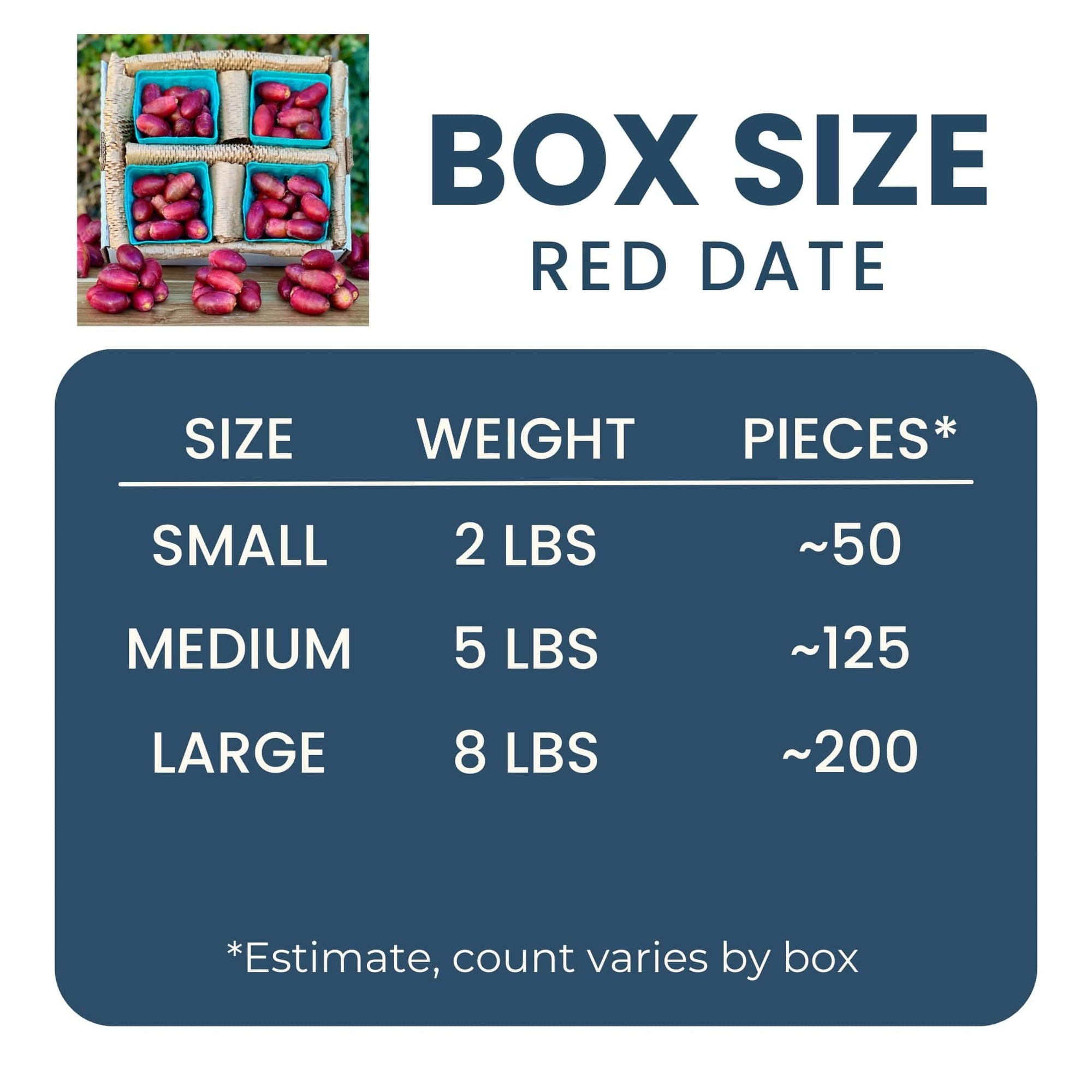 Fresh Red Dates (Khalal Zaghloul) Good Hill Farms Fruit: Date, Red