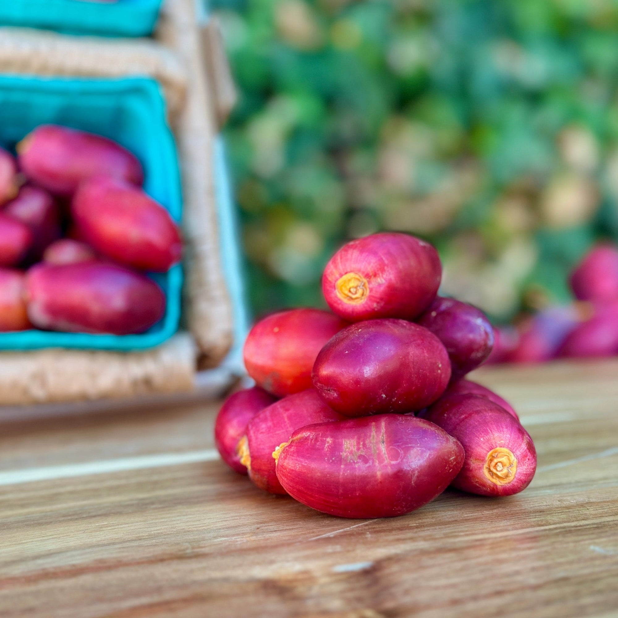 Fresh Red Dates (Khalal Zaghloul) Good Hill Farms Fruit: Date, Red
