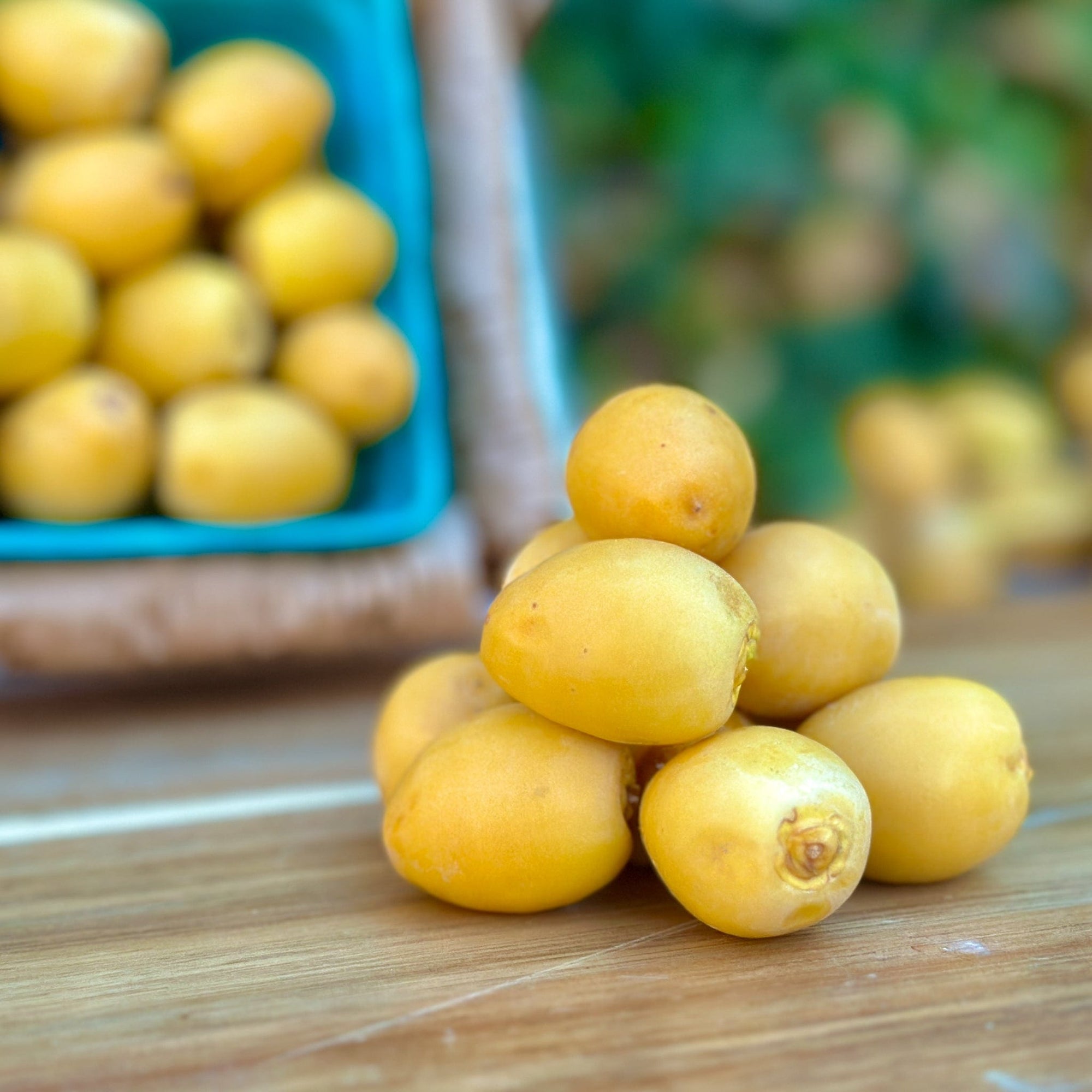 Fresh Yellow Dates (Khalal Barhi) Good Hill Farms Fruit: Date, Yellow