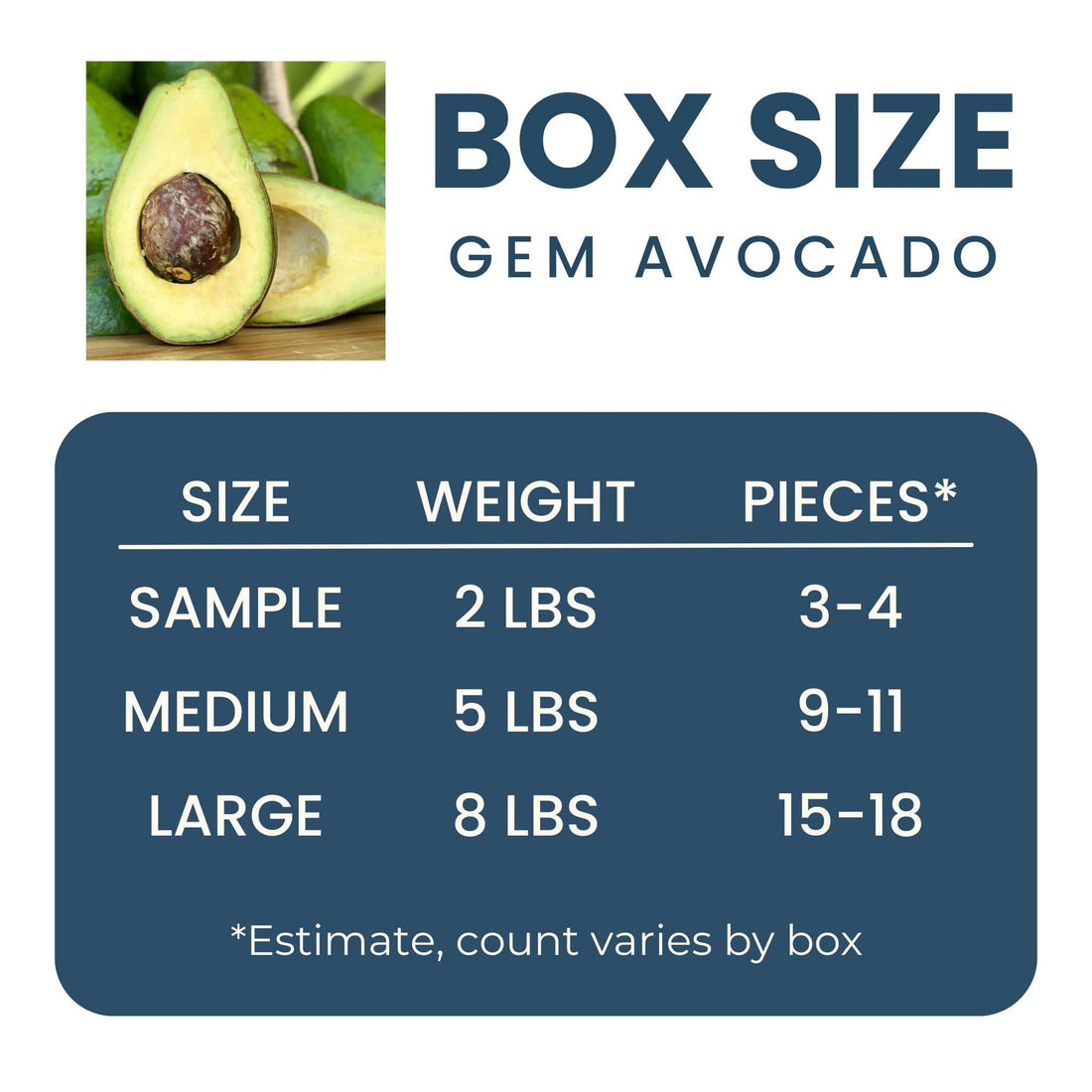 GEM Avocado Fruit Good Hill Farms Fruit: Avocado, GEM