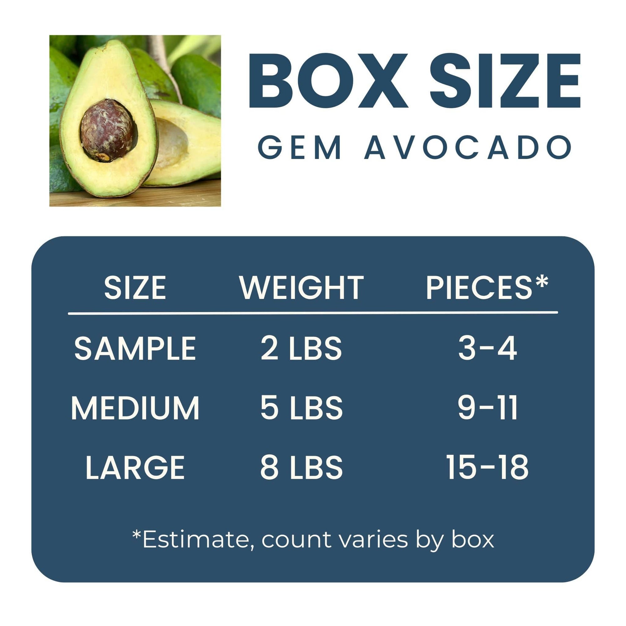 GEM Avocado Fruit Good Hill Farms Fruit: Avocado, GEM