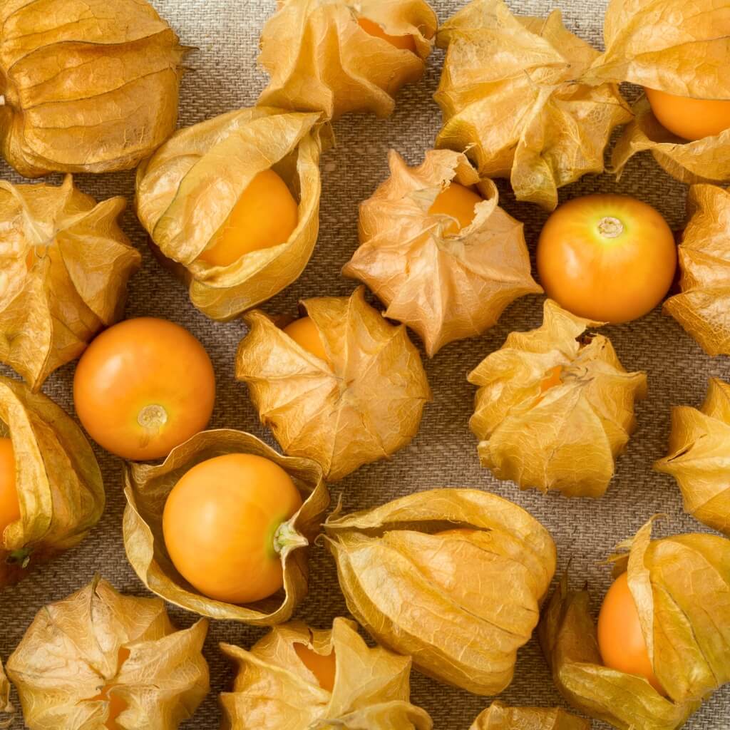 Golden Berry (Peruvian Ground Cherry, Gooseberry) Good Hill Farms Fruit: Golden Berries