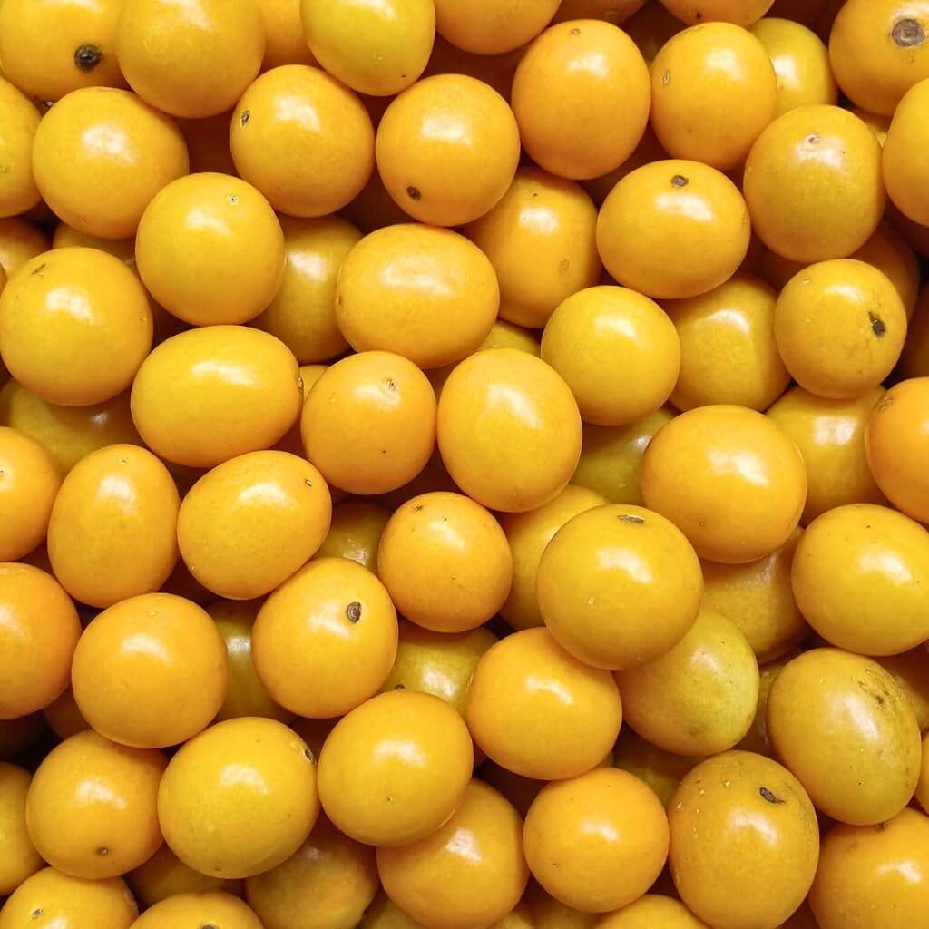 Golden Berry (Peruvian Ground Cherry, Gooseberry) Good Hill Farms Fruit: Golden Berries