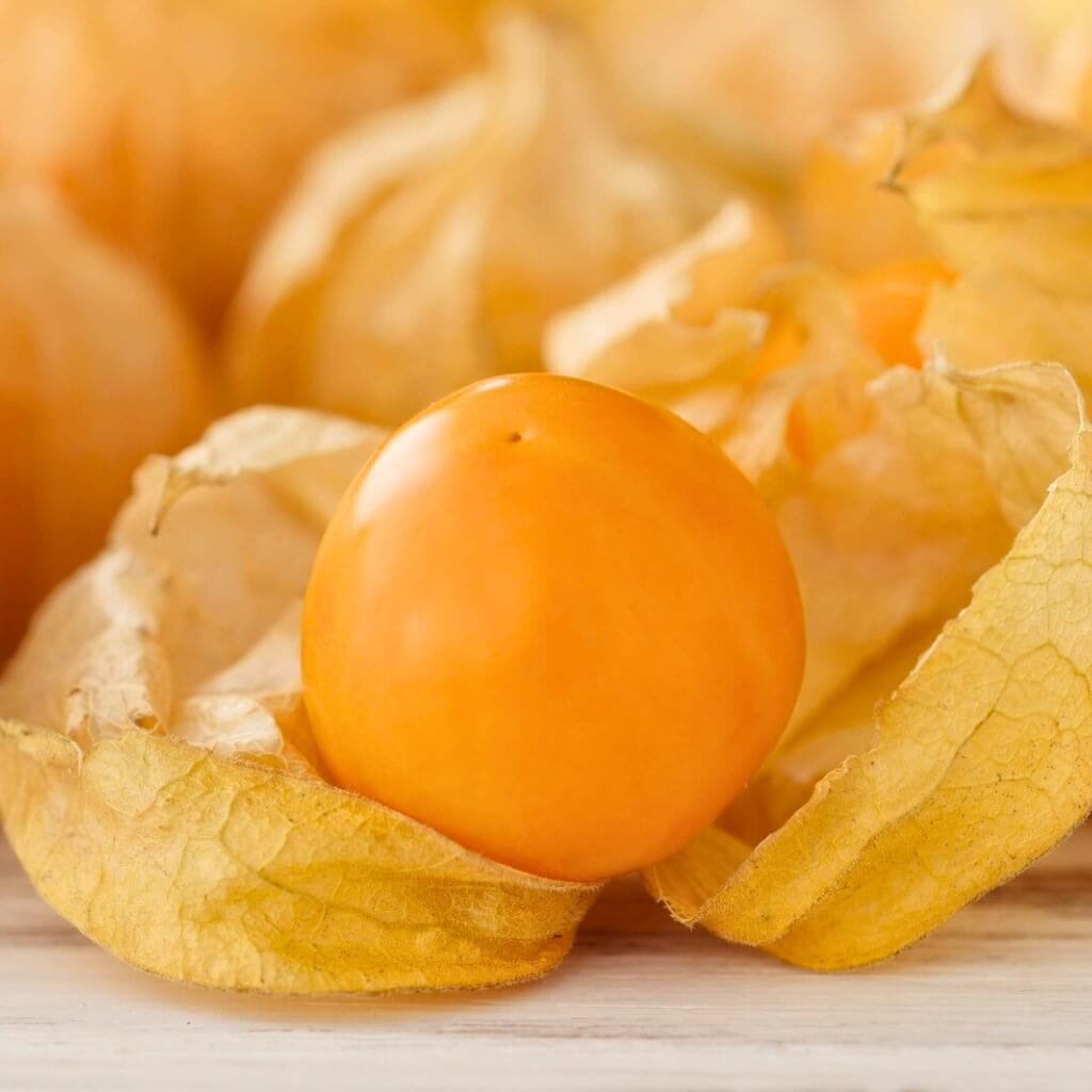 Golden Berry (Peruvian Ground Cherry, Gooseberry) Good Hill Farms Fruit: Golden Berries