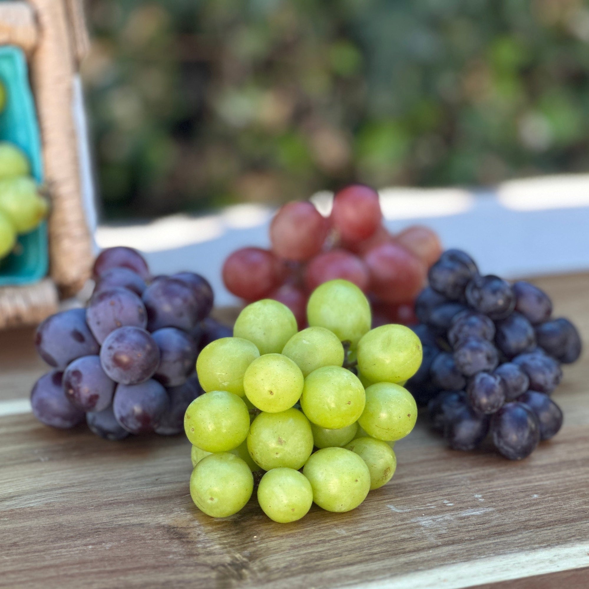 Grape Variety Box Good Hill Farms Mix Box: Grape, Variety