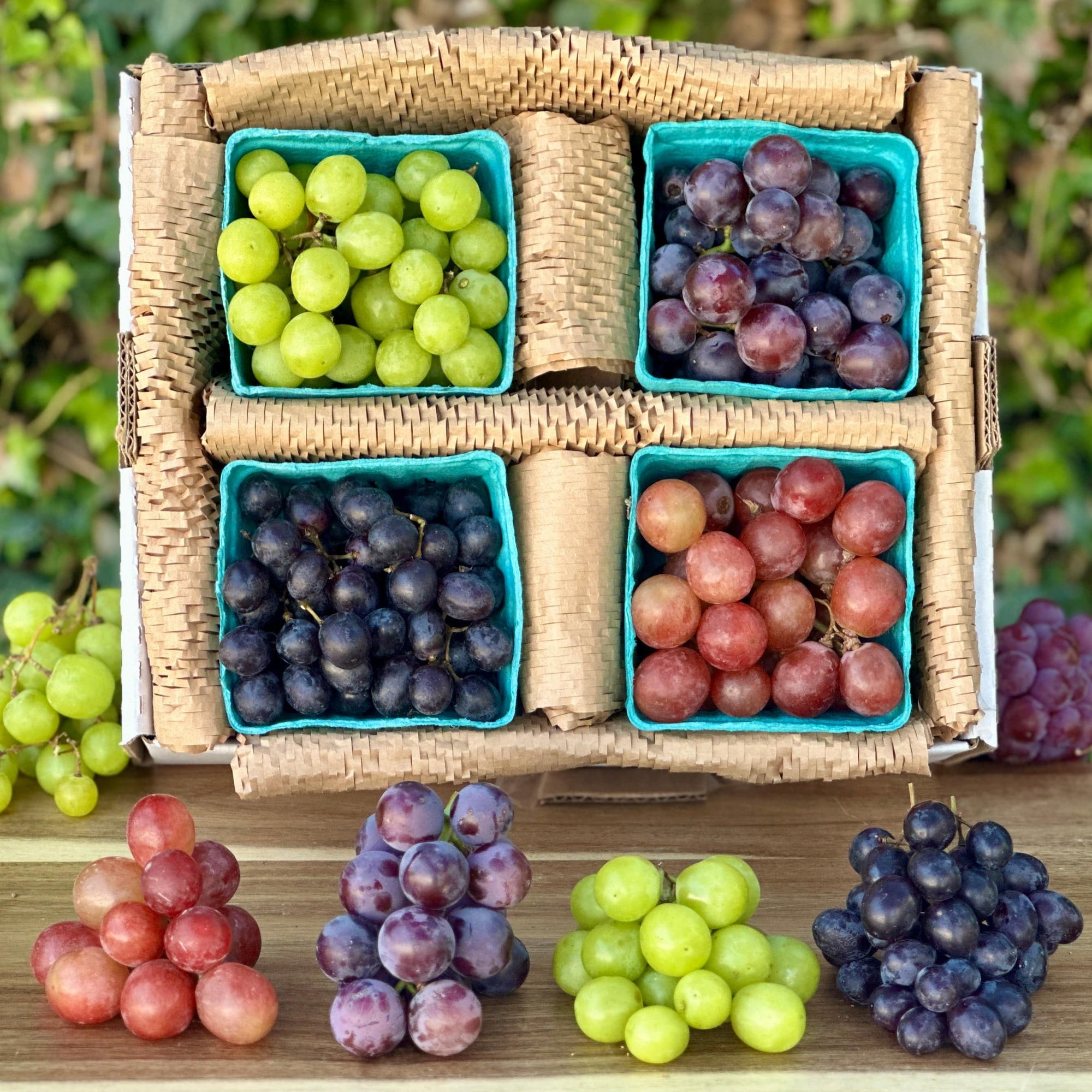Grape Variety Box Good Hill Farms Mix Box: Grape, Variety