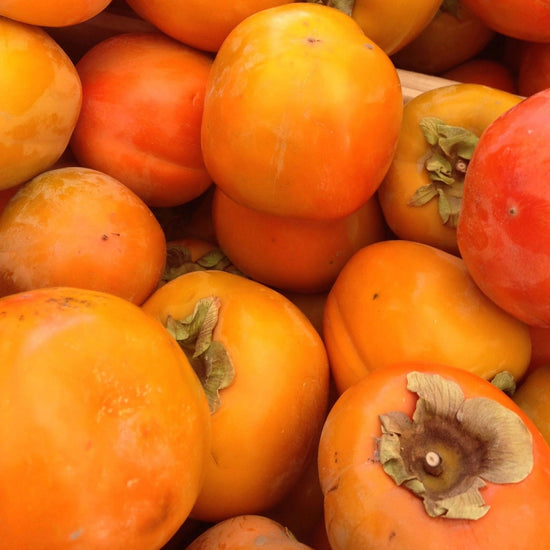 Hachiya Persimmon Good Hill Farms Fruit: Persimmon, Hachiya