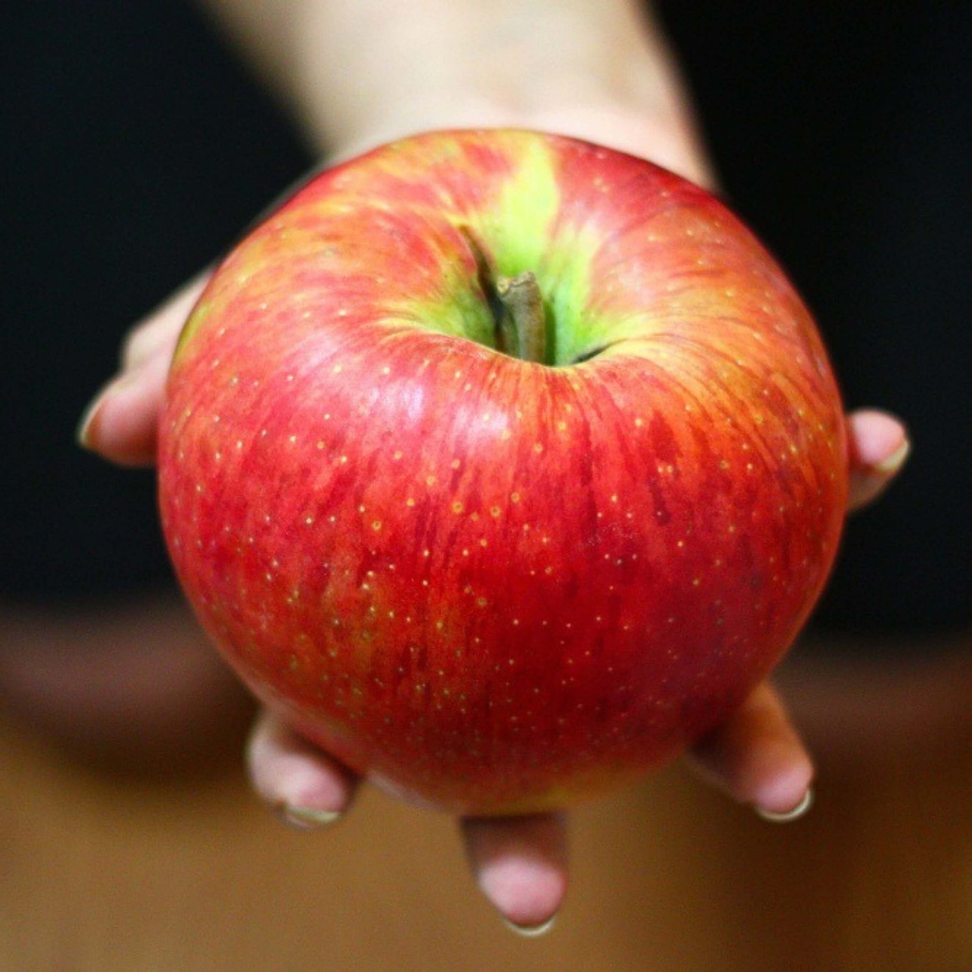Honeycrisp Apple Good Hill Farms Fruit: Apple, Honeycrisp