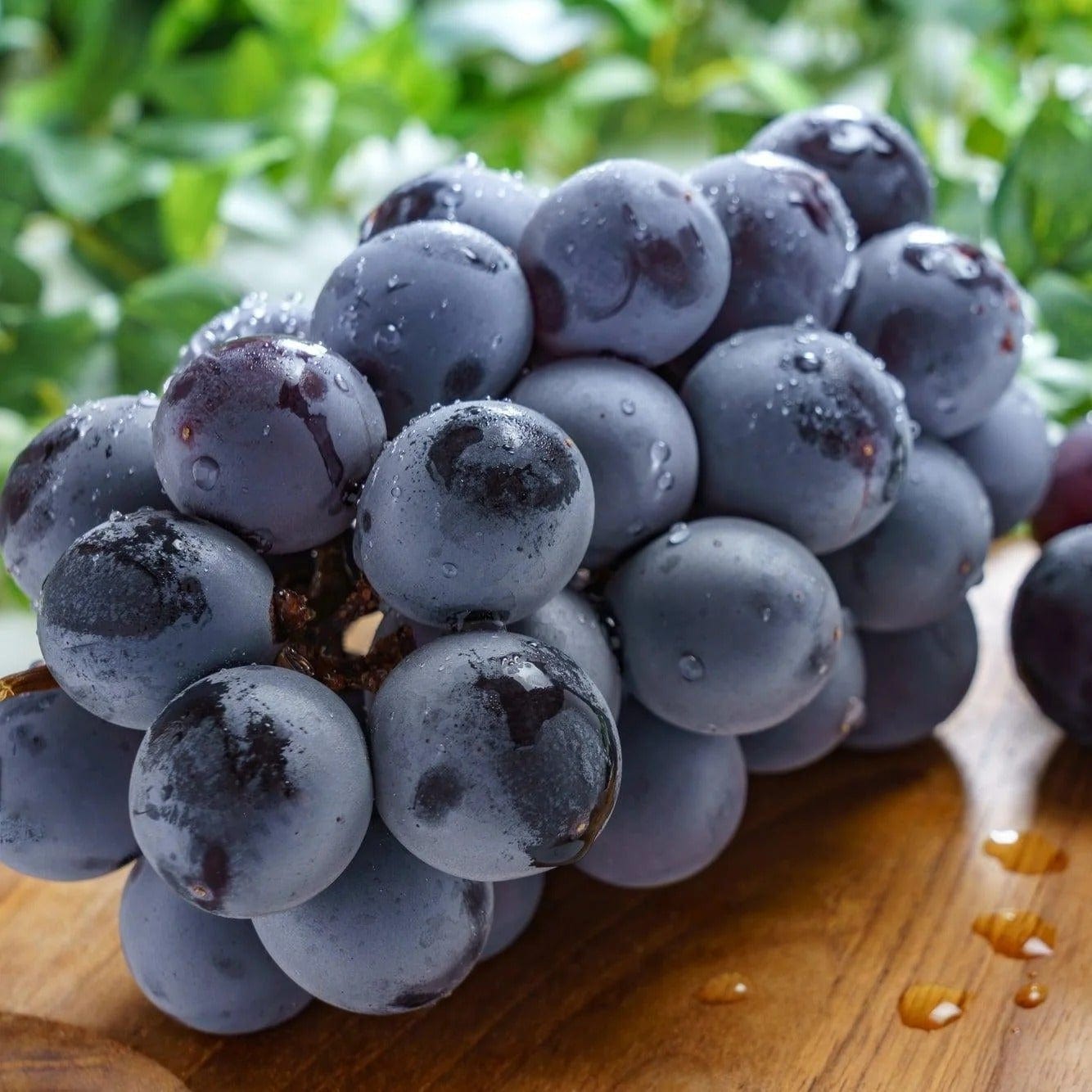 Kyoho Grapes Good Hill Farms Fruit: Grape, Kyoho