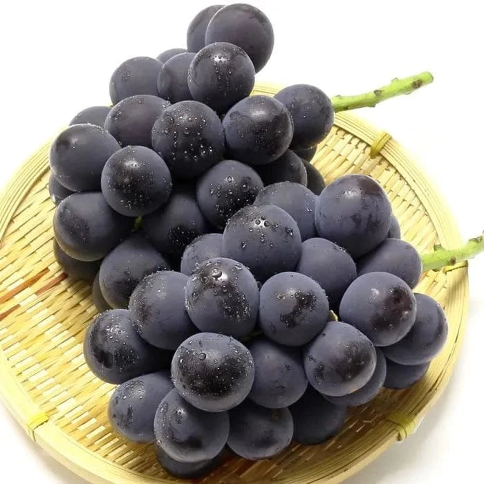 Kyoho Grapes Good Hill Farms Fruit: Grape, Kyoho