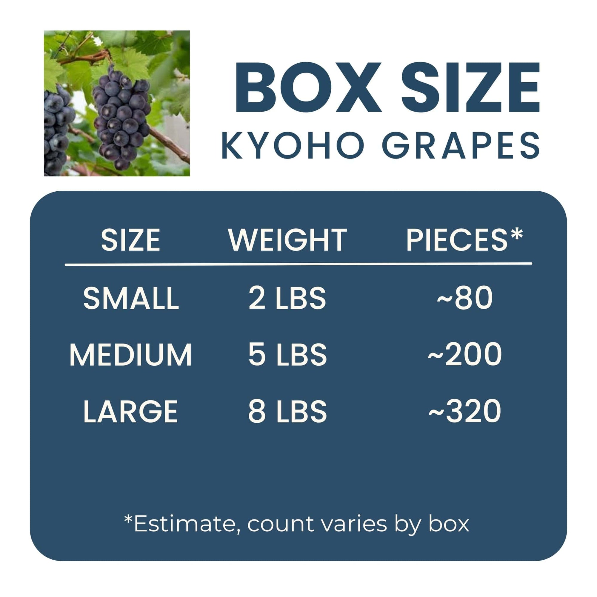 Kyoho Grapes Good Hill Farms Fruit: Grape, Kyoho