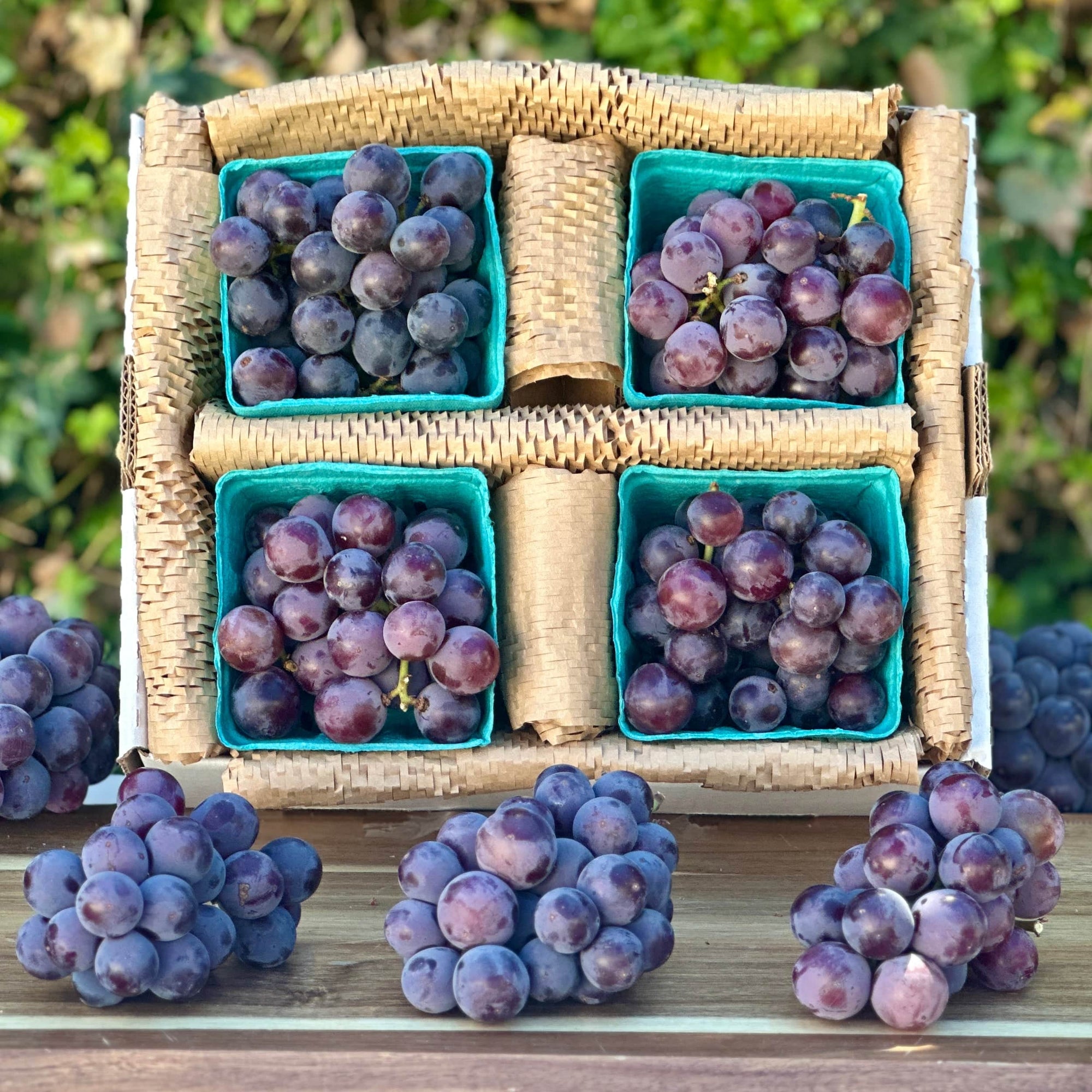 Kyoho Grapes Good Hill Farms Fruit: Grape, Kyoho