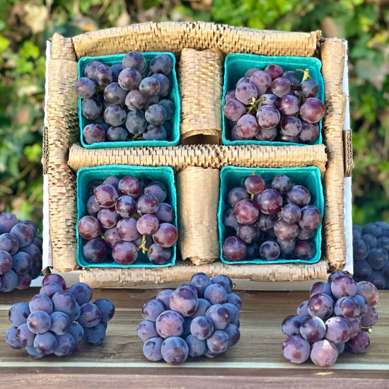 Kyoho Grapes Good Hill Farms Fruit: Grape, Kyoho