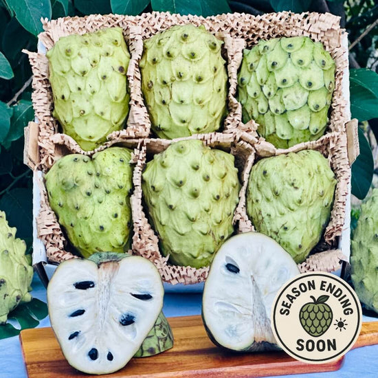 Large Cherimoya (Custard Apple) Good Hill Farms Fruit: Cherimoya