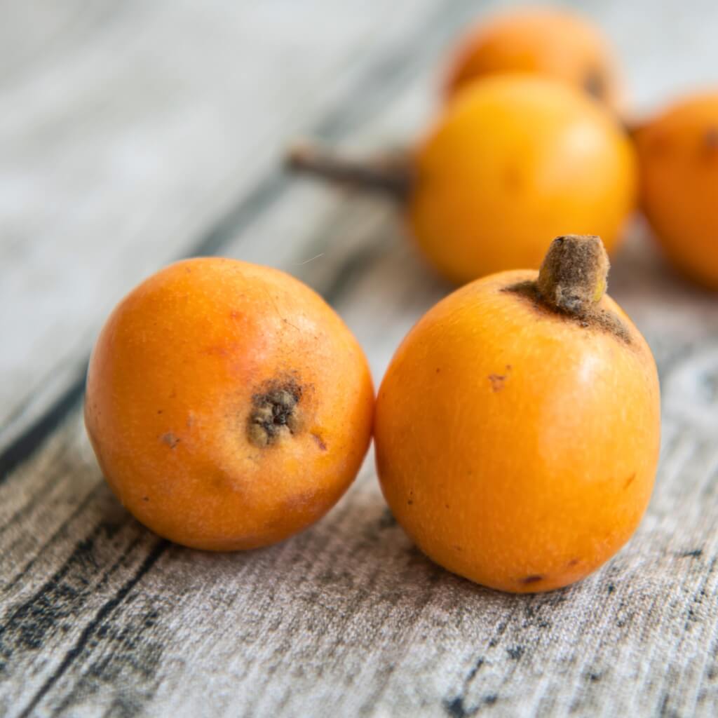 Loquat Good Hill Farms Fruit: Loquat