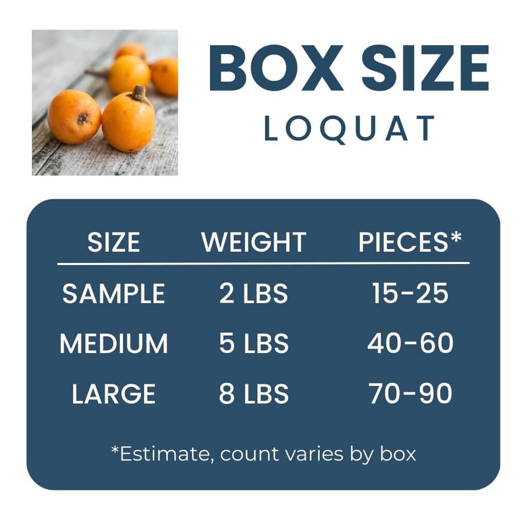 Loquat Good Hill Farms Fruit: Loquat