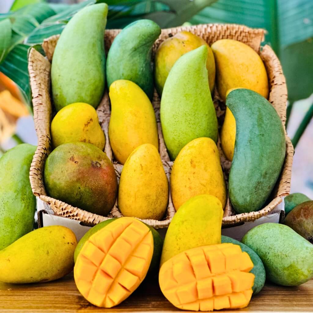 Mango Variety Box Good Hill Farms Mix Box: Mango, Variety