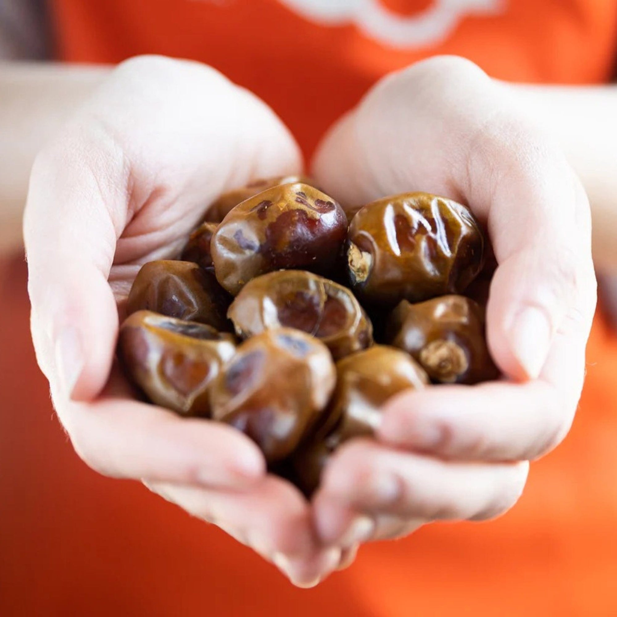 Mature Barhi Dates Good Hill Farms Fruit: Date, Mature Barhi