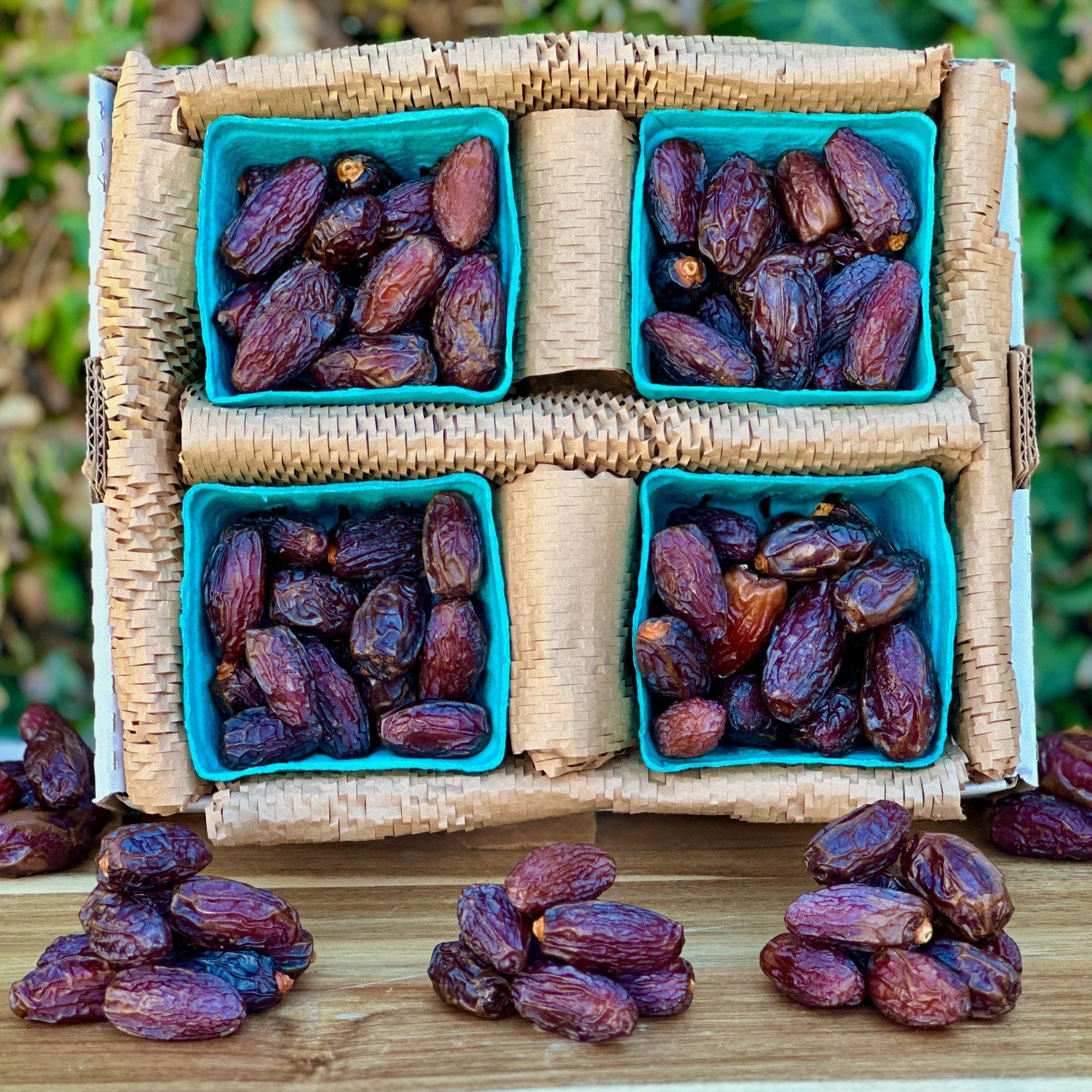 Medjool Dates (King of Dates) Good Hill Farms Fruit: Date, Medjool