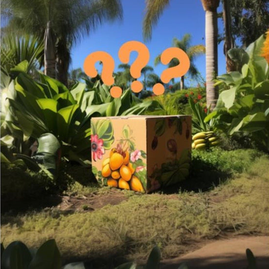 Mystery Fruit Variety Box Good Hill Farms Mix Box: Mystery Box