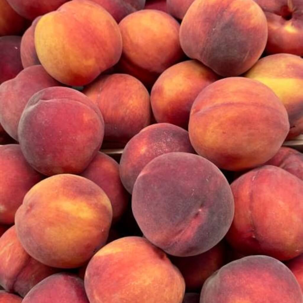 Nectarine Good Hill Farms Fruit: Nectarine