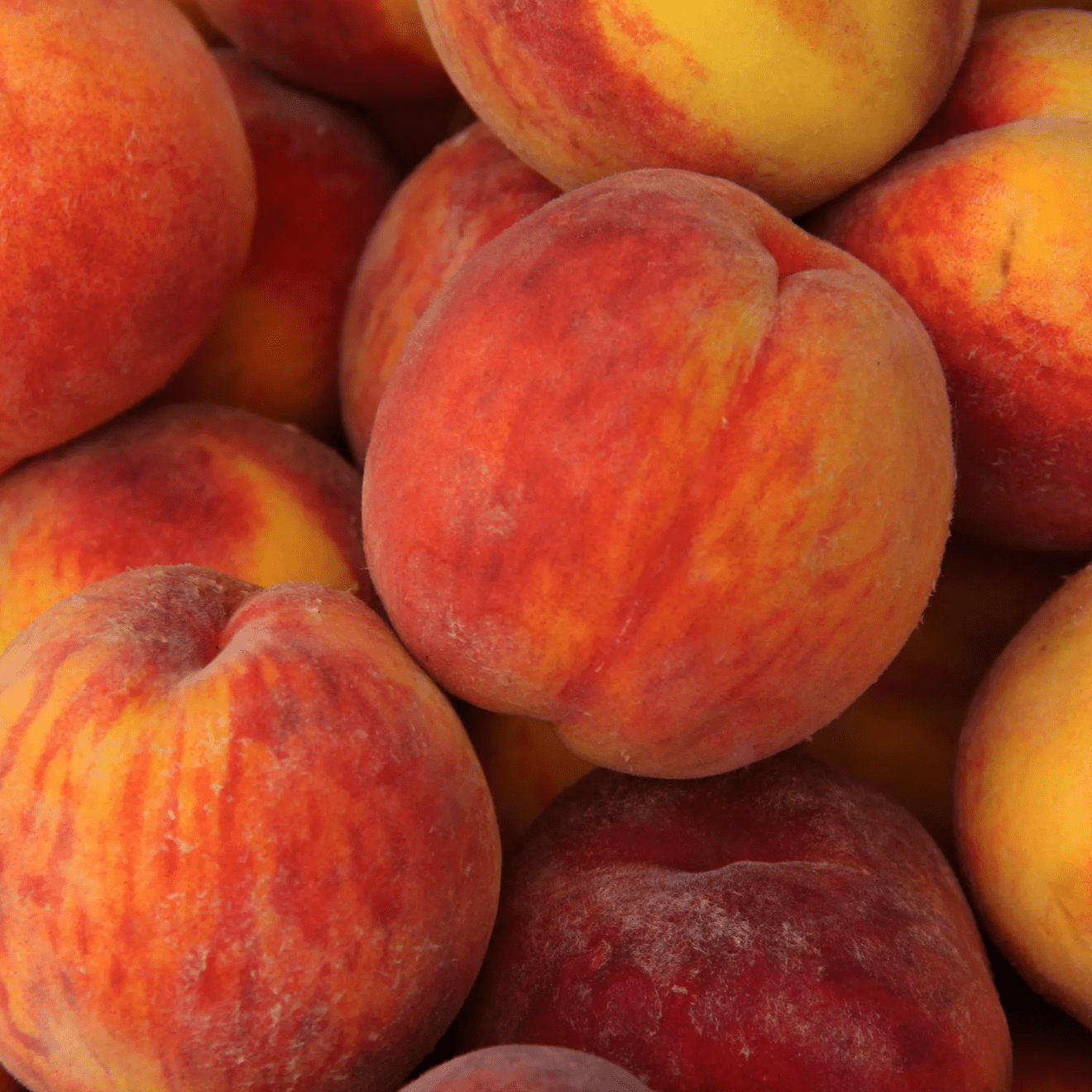 Peaches Good Hill Farms Fruit: Peaches