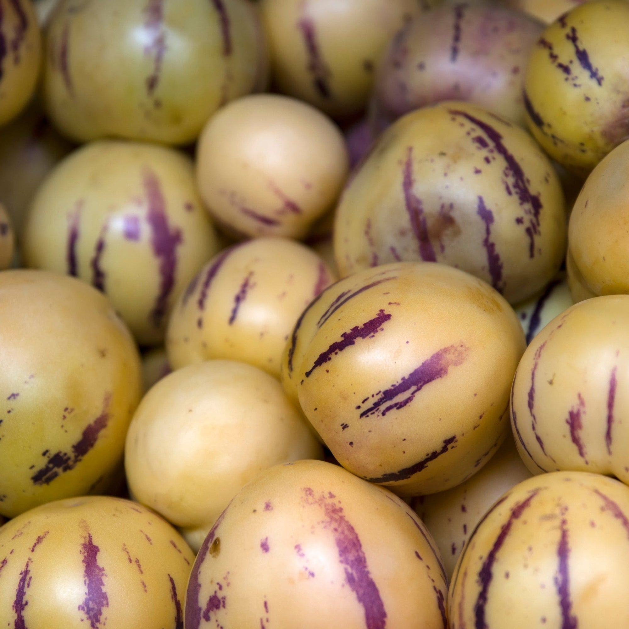 Pepino Melon Good Hill Farms Fruit: Melon, Pepino